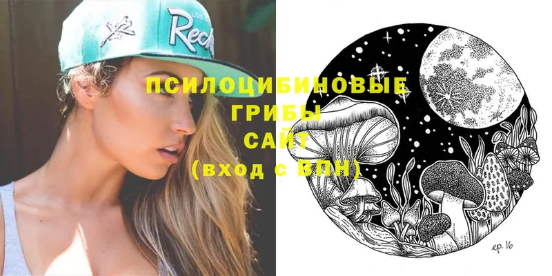 Псилоцибиновые грибы Cubensis  Новоаннинский 